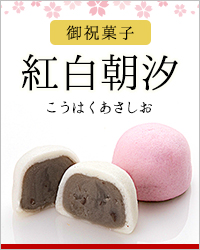 紅白朝汐