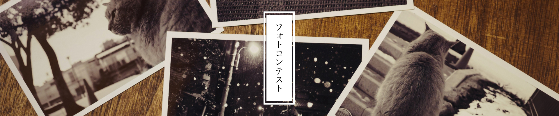 フォトコンテスト