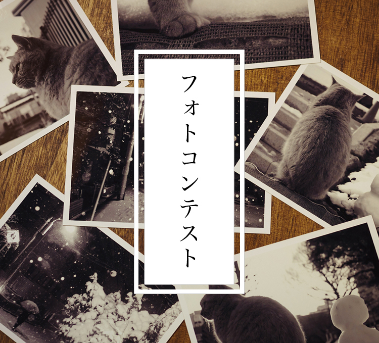 フォトコンテスト